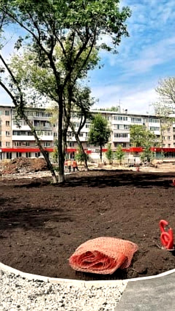 В Самаре высадят более 23 тыс. растений в рамках программы благоустройства