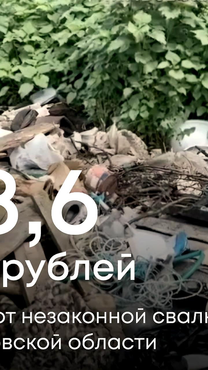 Суд обязал администрацию Никифоровского округа выплатить 28,6 млн рублей за свалку
