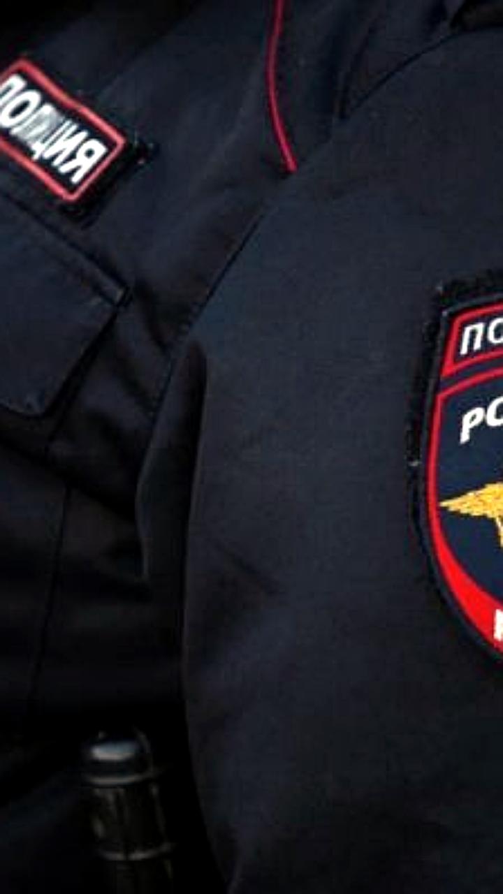 В 2024 году в Россию прибыли более 6 миллионов мигрантов, половина из которых трудоустраивается