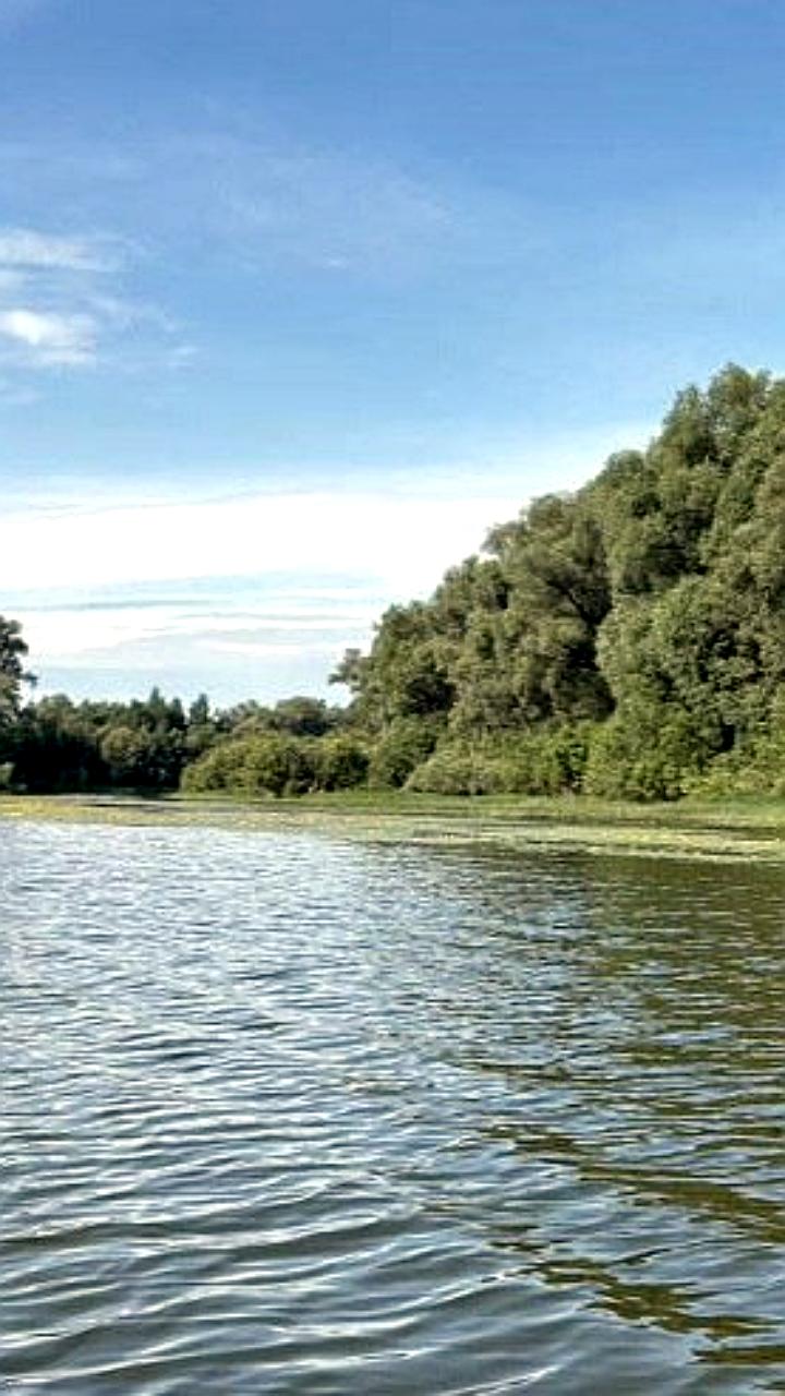 Прокуратура Родниковского района выявила нарушения в водоотведении и оштрафовала компанию