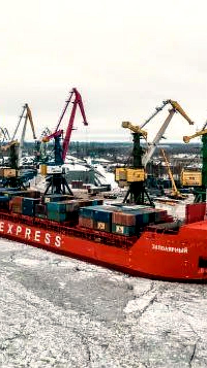 Китайская NewNew Shipping Line рассматривает инвестиции в порт Архангельск