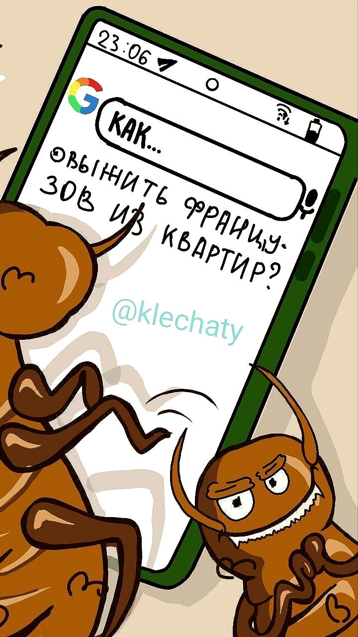 Рост случаев заражений постельными клопами во Франции в июне 2025 года