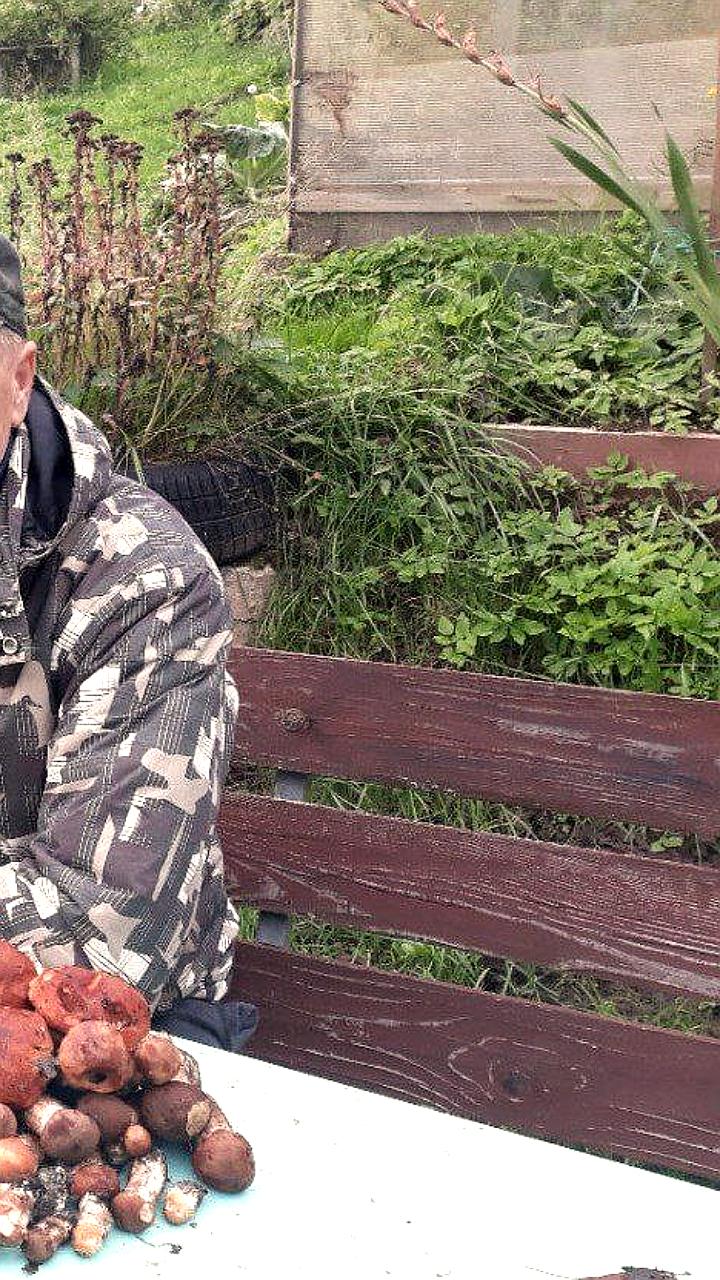 Стрельба полиции в Купчино: пенсионерка и её сын госпитализированы после инцидента