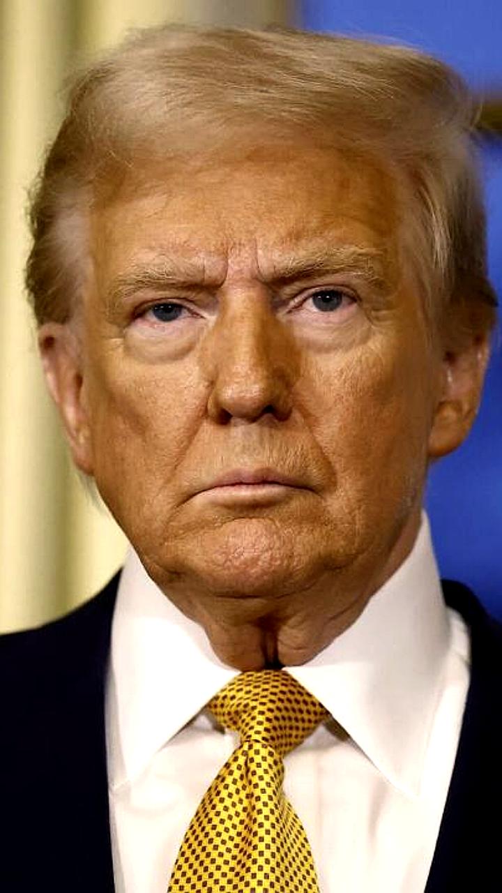 Трамп обвиняет демократов в мошенничестве с $100 млн, собранными для пострадавших от пожаров в Калифорнии