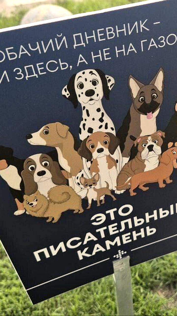 В Москве установлены 'писательные' камни для собак