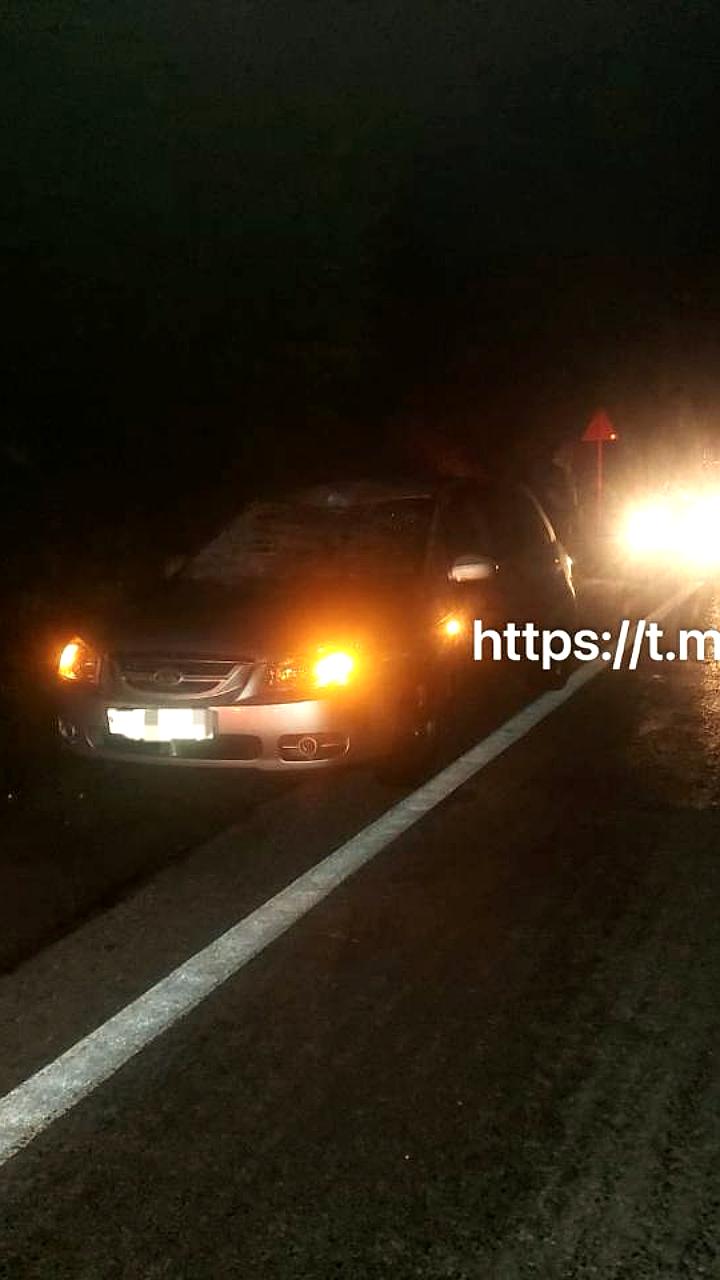 В Черкесске зафиксированы случаи наезда на лошадей на дорогах