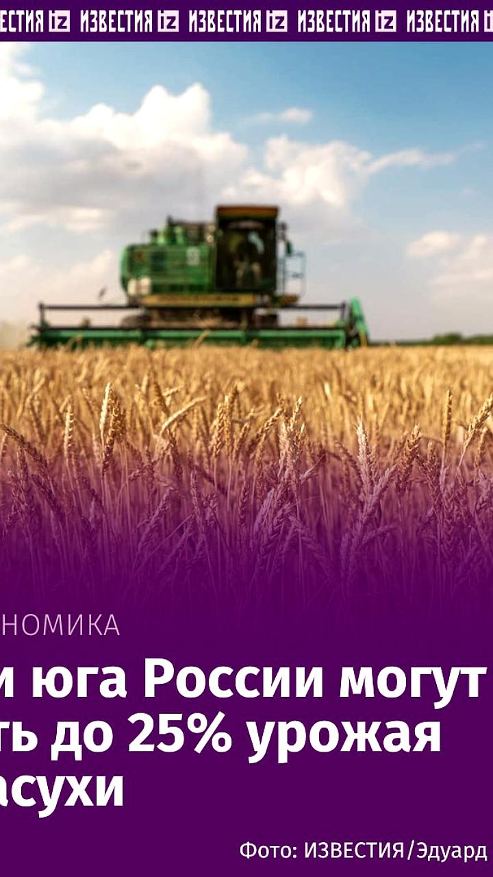 Засуха в южной России угрожает урожаю зерна и вызывает режим ЧС