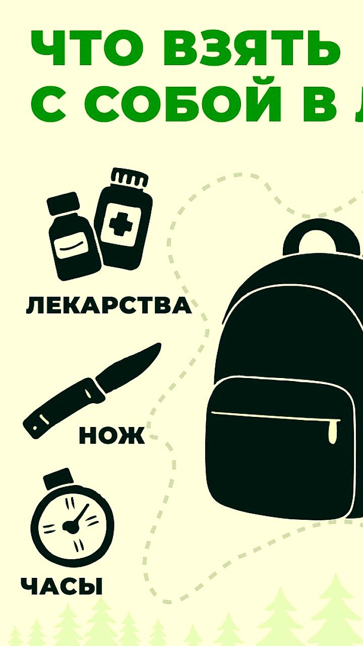 Сезон сбора грибов и ягод в Красноярском крае: советы по безопасности