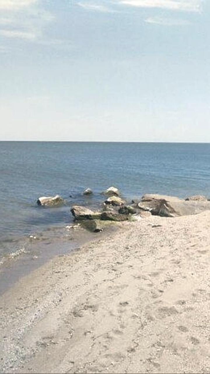 Центральный пляж Бердянска очищен от морской травы