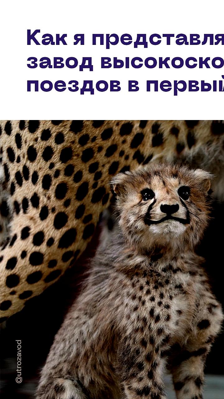 Строительство конструкторского центра для высокоскоростных поездов одобрено в Верхней Пышме
