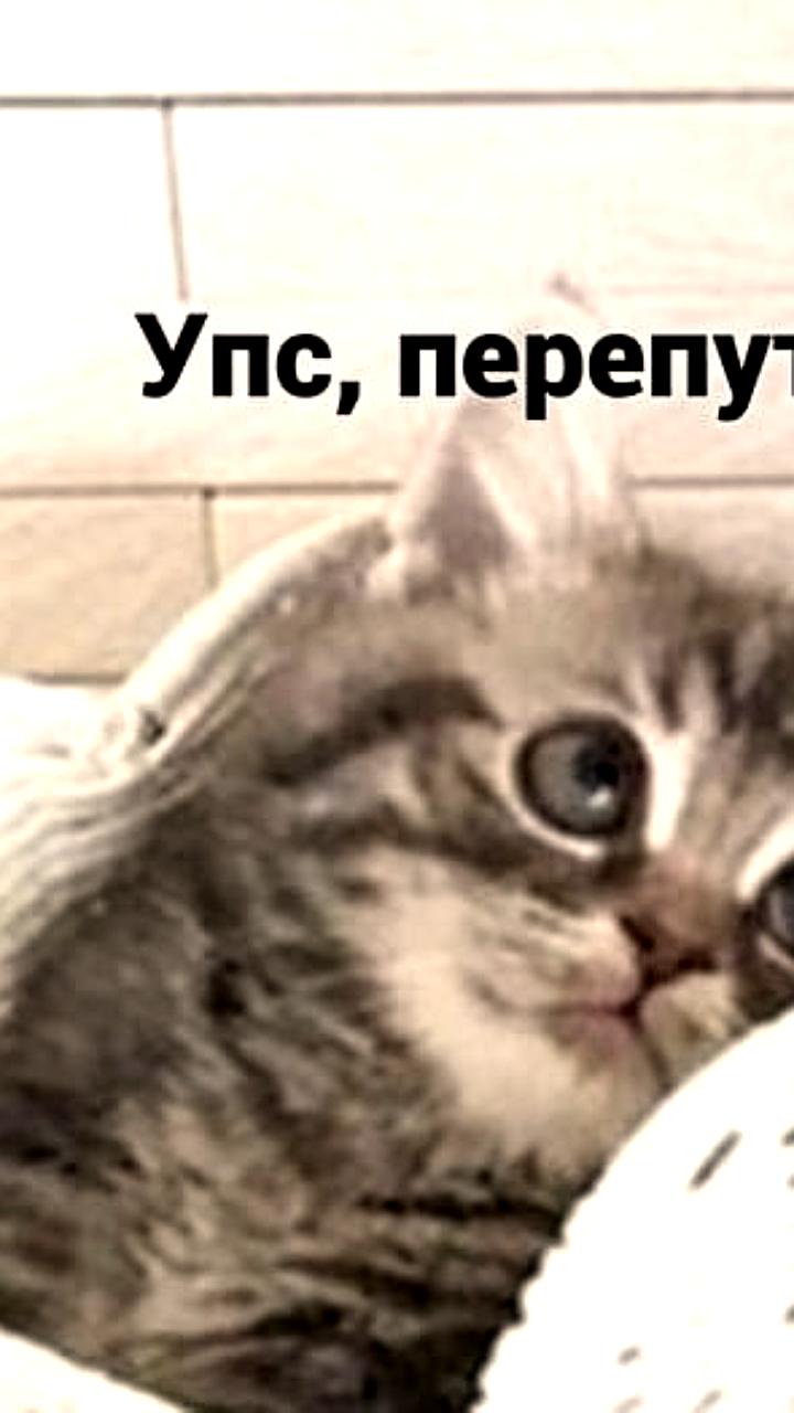 В Завитинске соседи нашли 6 млн рублей, выброшенные наследницей