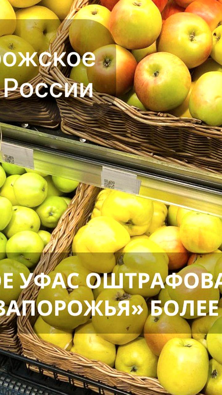 Запорожское УФАС наложило штраф на ГУП «Рынки Запорожья» за злоупотребление доминирующим положением