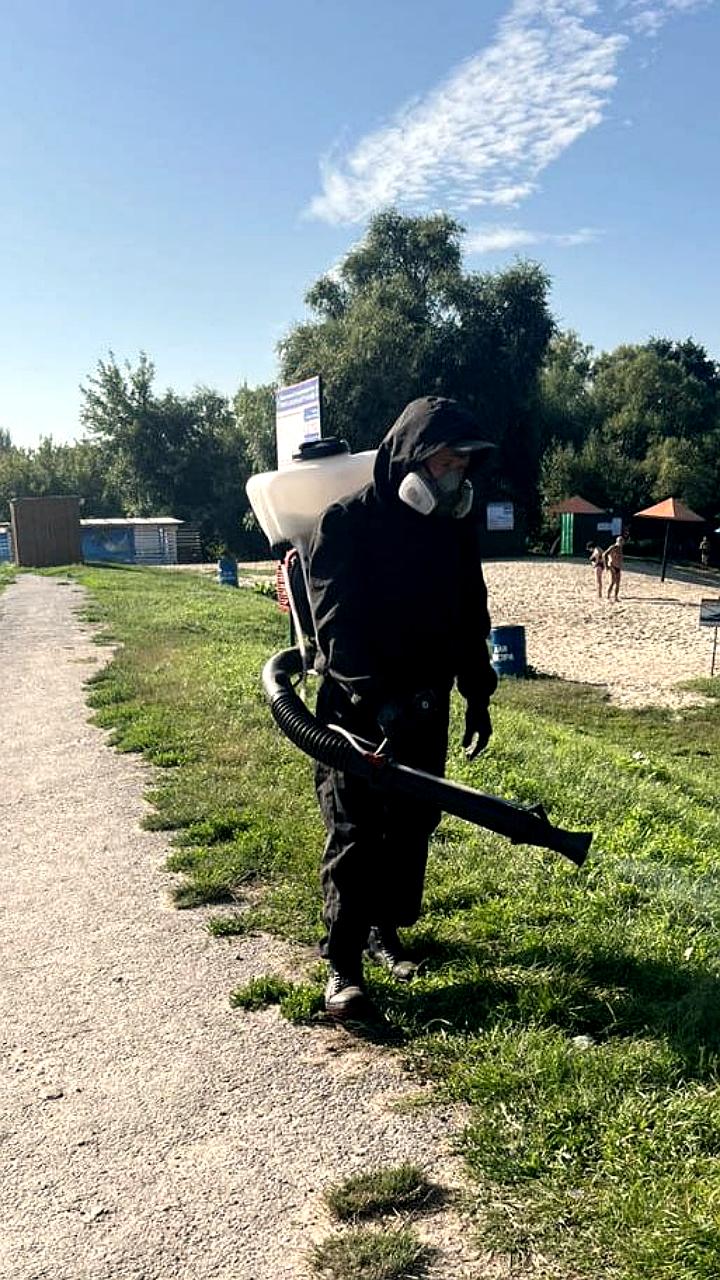 В Курске проведут обработку восьми муниципальных пляжей от клещей