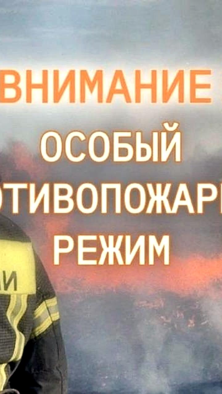 В Крыму введен особый противопожарный режим из-за увеличения пожаров