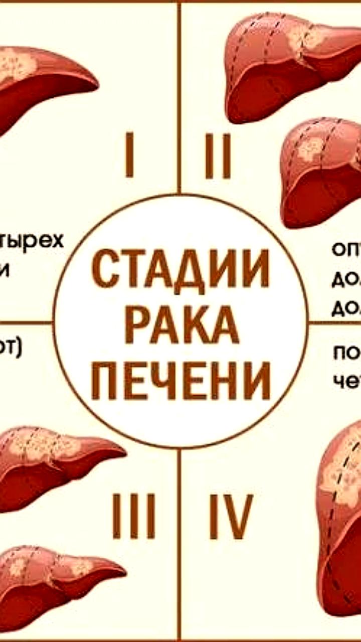 Неделя профилактики заболеваний печени: симптомы и диагностика