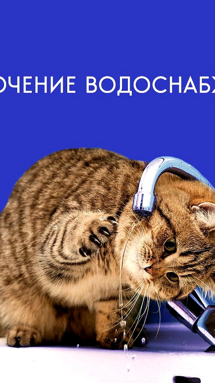Отключение воды в Бишкеке и Арбеково: график и рекомендации для жителей