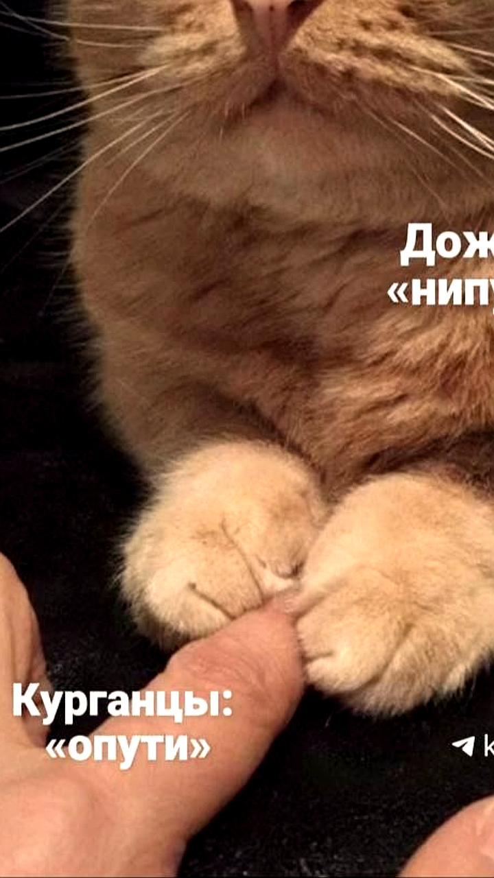 Мощные дожди ожидаются в Урале и Сибири, возможны подтопления