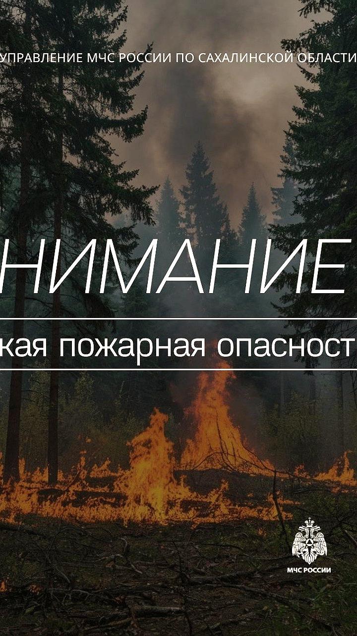 Высокая пожароопасность в Сочи: МЧС предупреждает о рисках