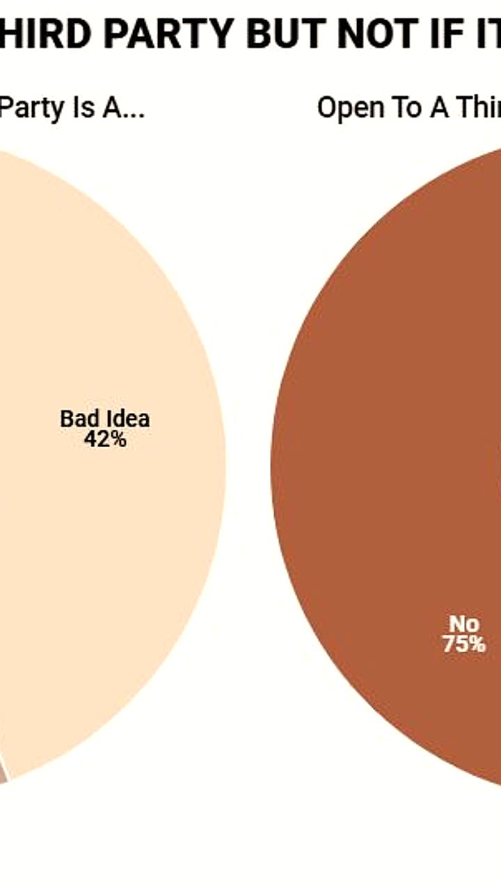 Опрос: 53% американцев поддерживают создание третьей партии, но против участия Илона Маска