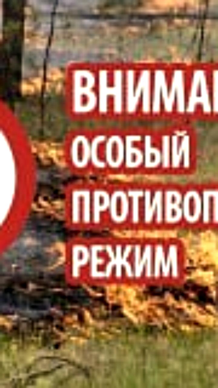 Продление особого противопожарного режима в Архангельской области до 7 августа