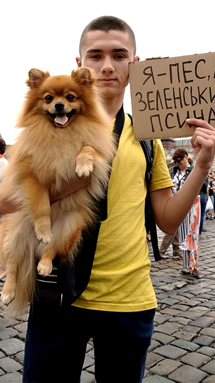 Юрист объясняет возможные последствия для владельца осла, прокатившегося на зиплайне в Дагестане