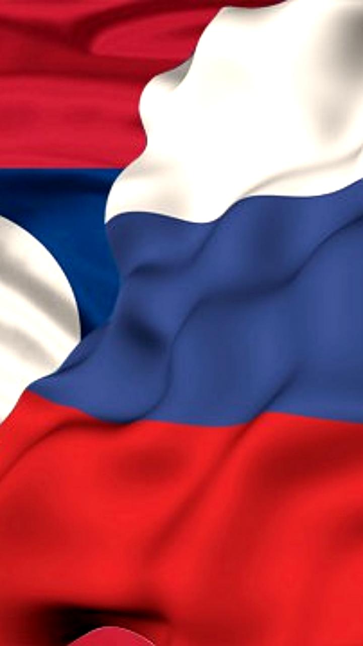Рост товарооборота между Россией и Лаосом на 66% в 2024 году