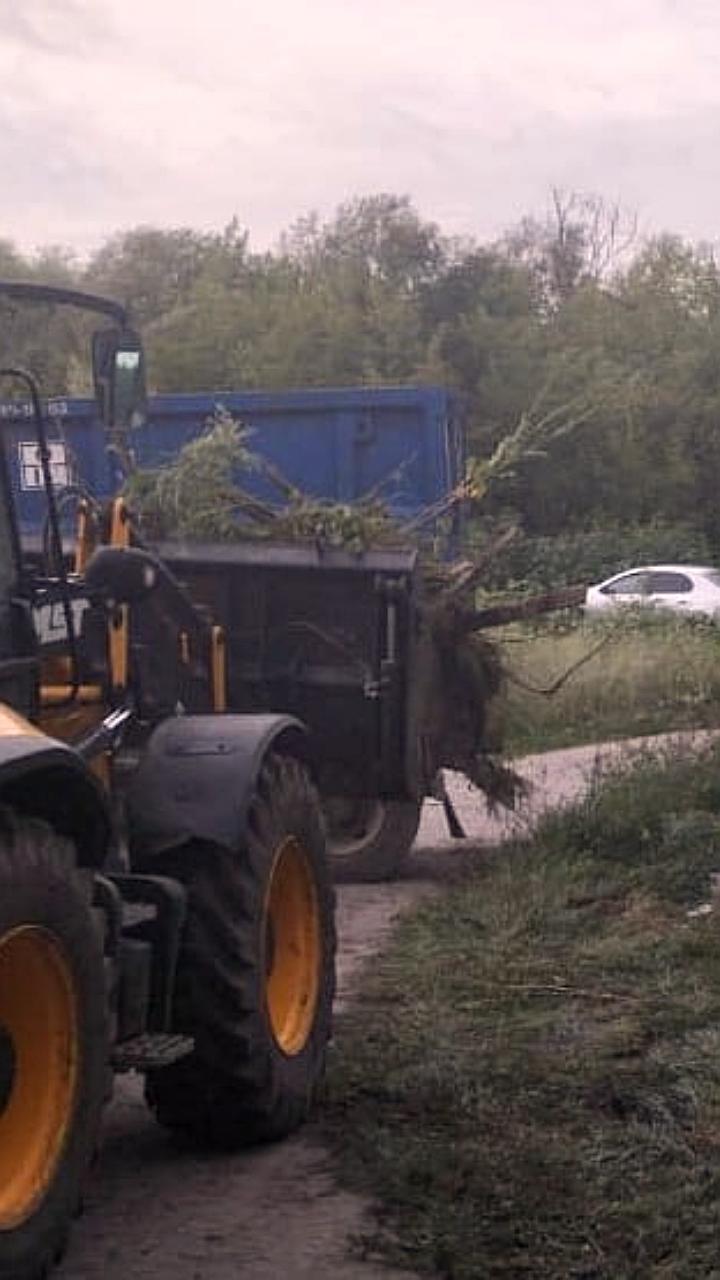 В Курске ликвидированы незаконные свалки на пляже и улице Максима Горького