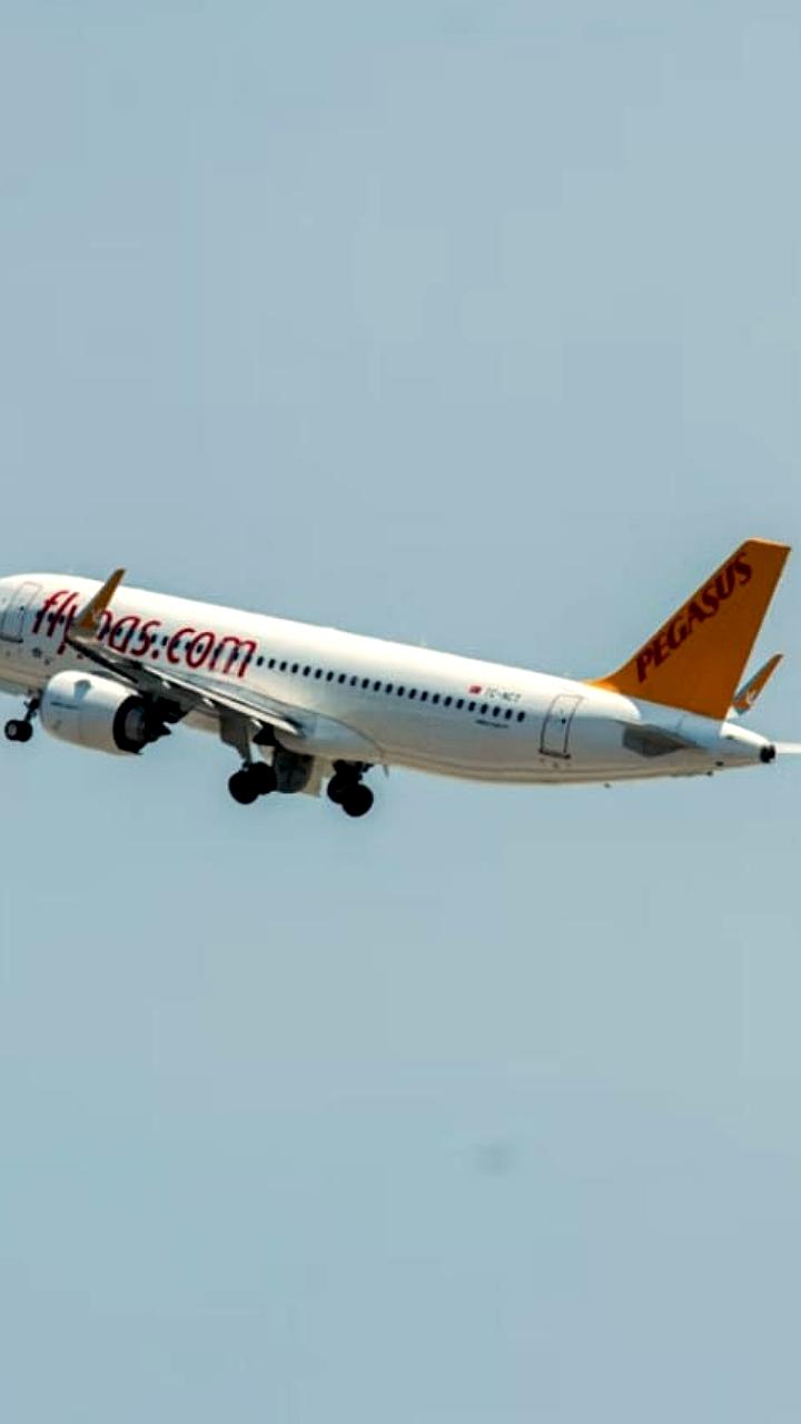 Пассажиров рейса Pegasus Airlines оштрафовали за преждевременное вставание в Турции
