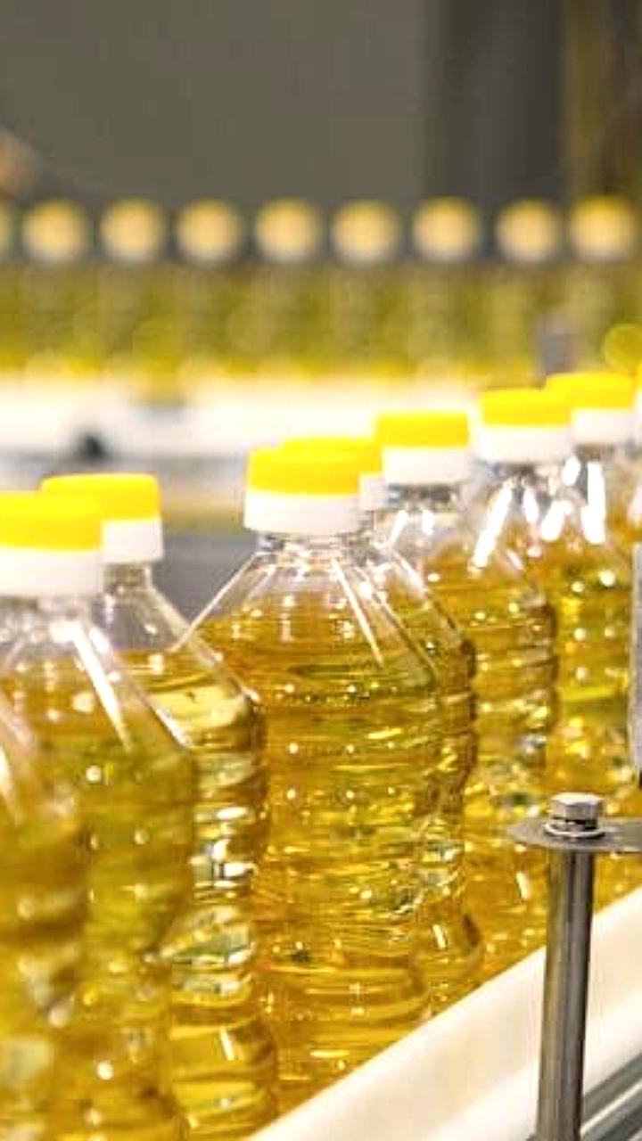 ЛНР начинает экспорт подсолнечного масла в Азербайджан и Турцию с 2024 года