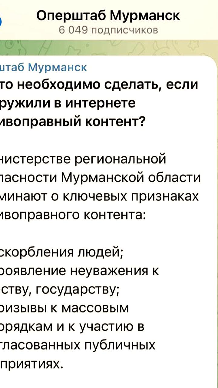 Власти Мурманской области призывают сообщать о противоправном контенте