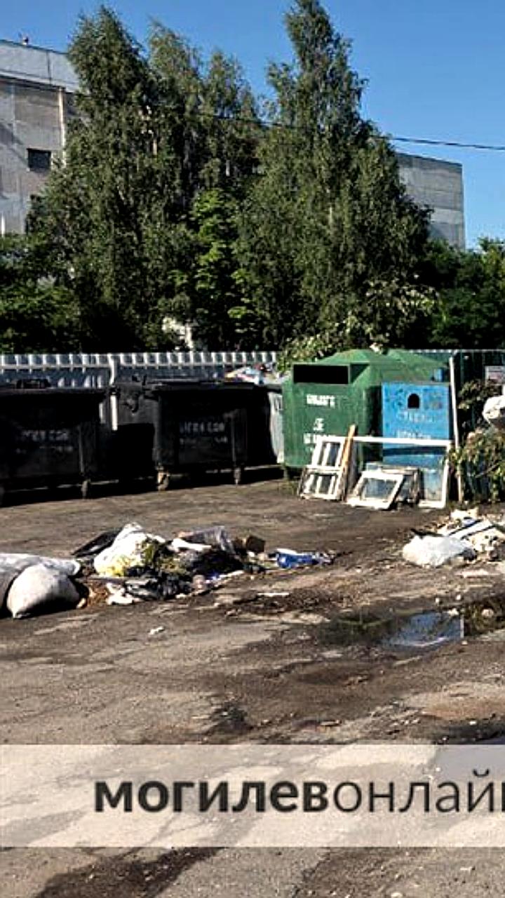 Югорчане и жители Костромского района противостоят проблемам с мусором перед выборами