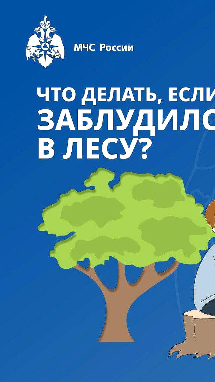 Спасение мужчины в лесу под Тындой: успешная операция МЧС и волонтеров
