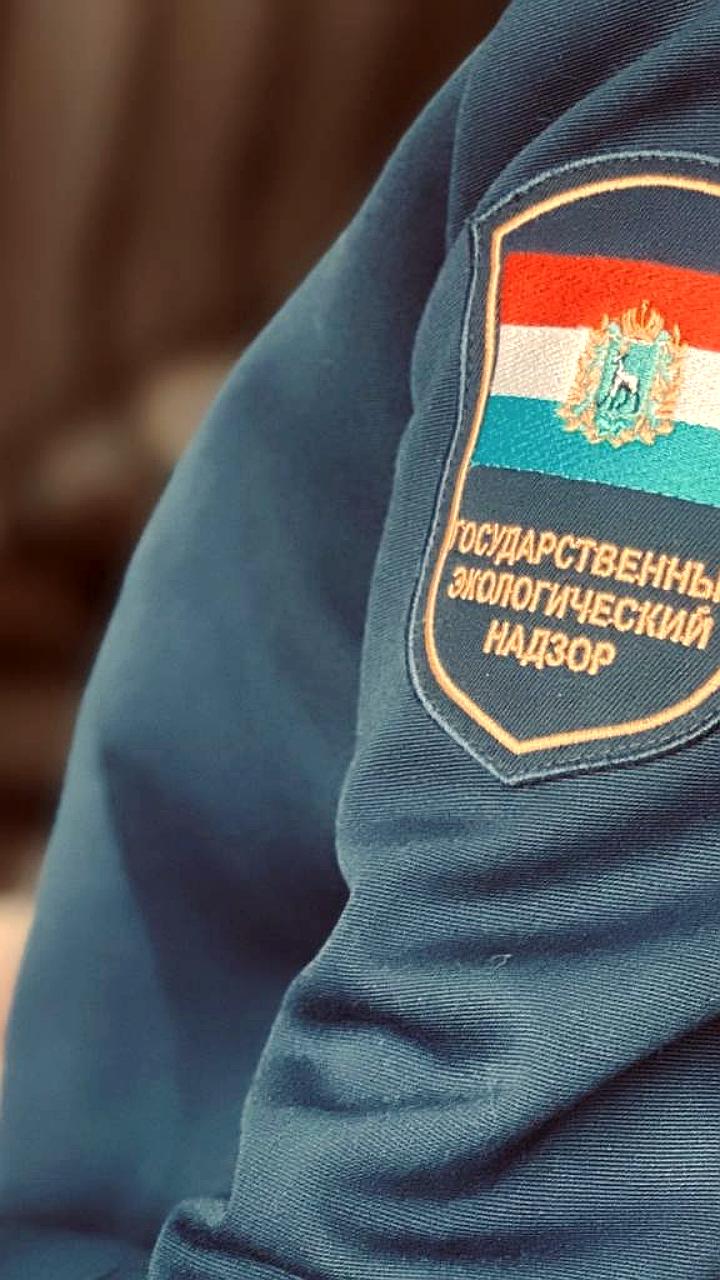 Прокуратура и Минприроды выявили нарушения экологического законодательства во Владивостоке и Находке
