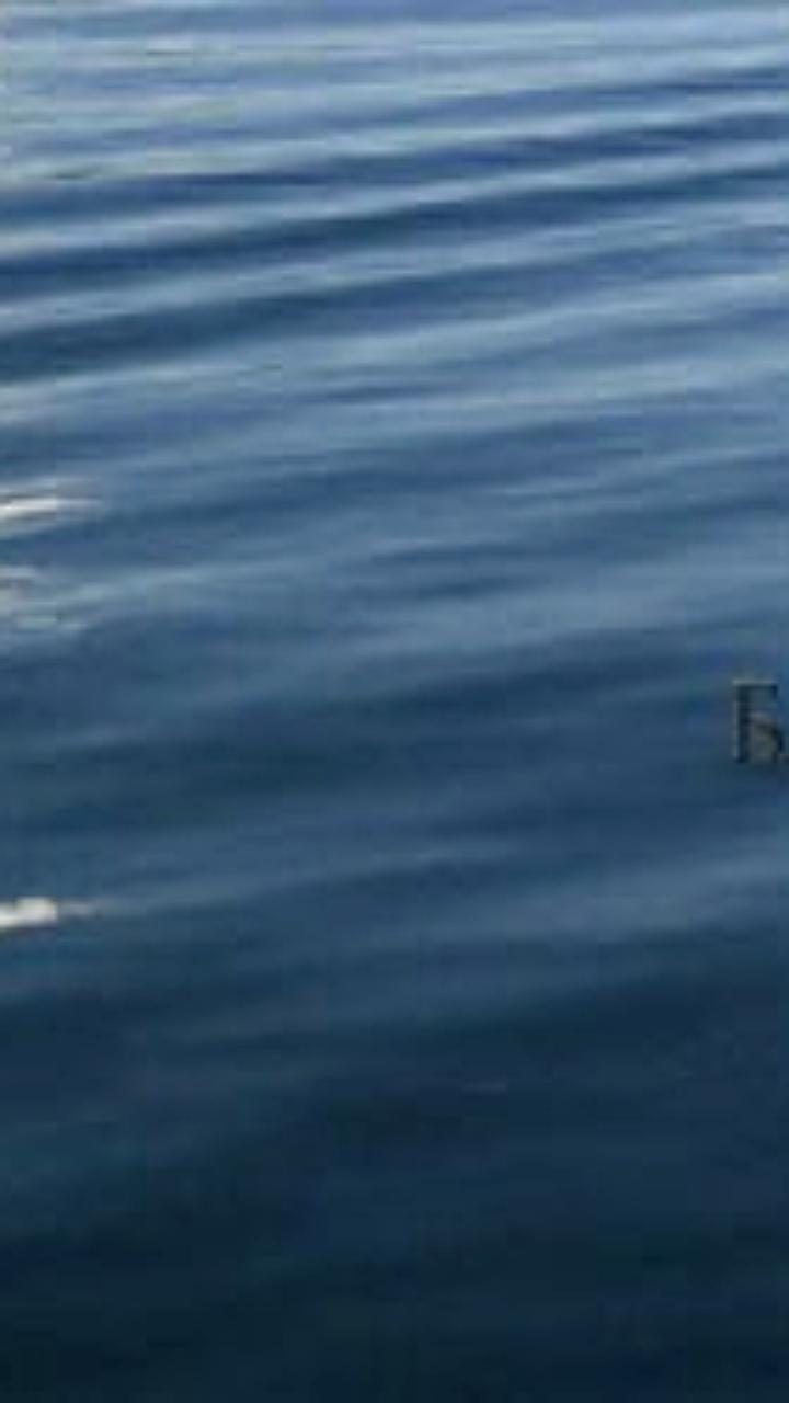 Отец утонул, спасая сына на Усть-Илимском водохранилище