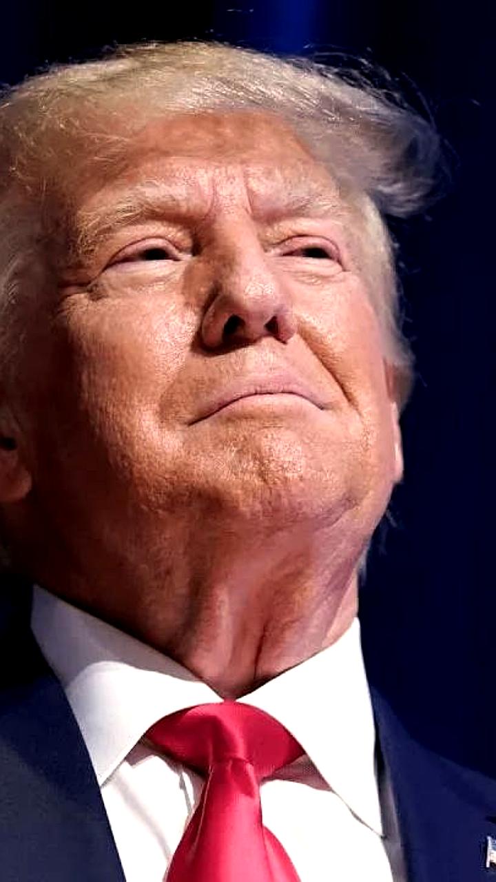 Трамп сокращает срок для договоренностей по Украине до 10 дней, считает экс-посол Франции