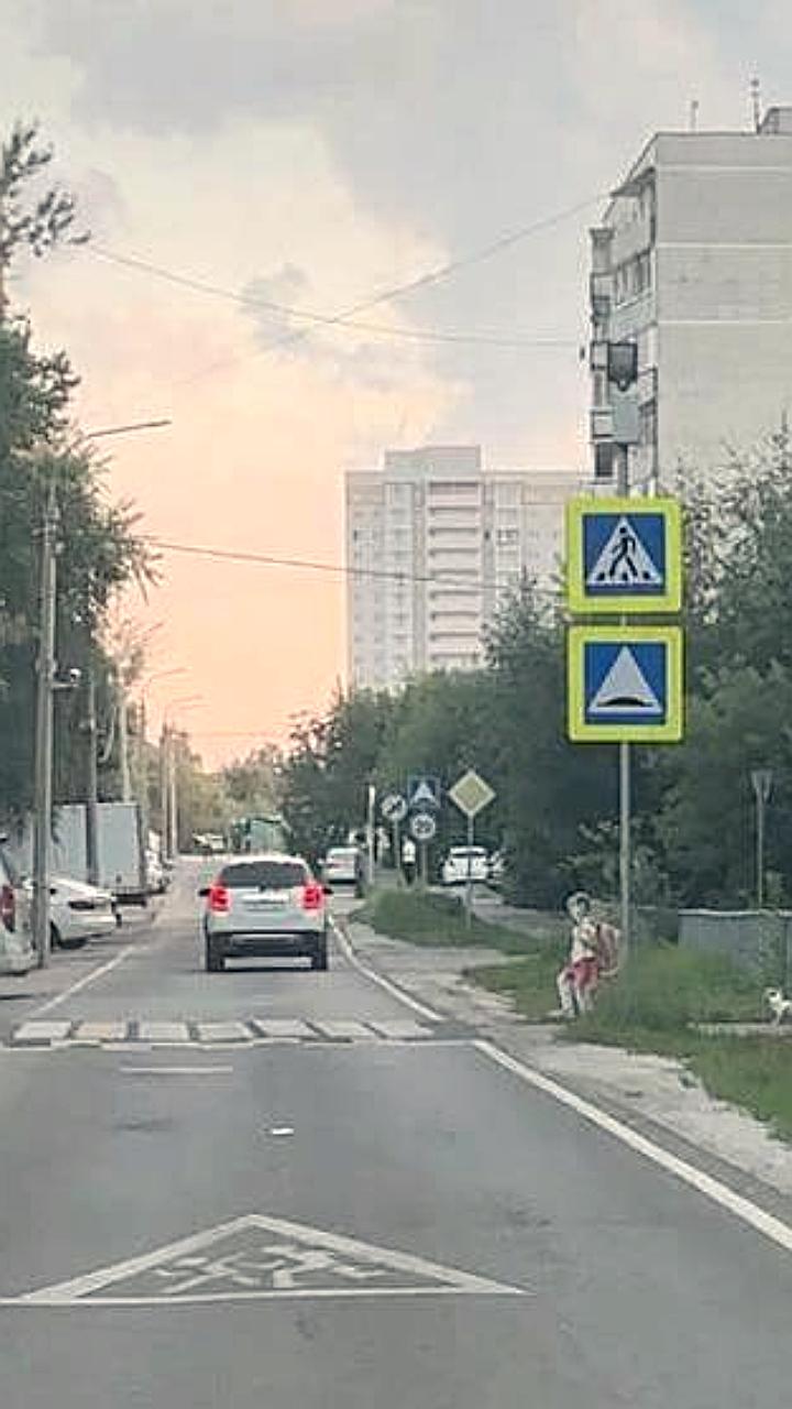 В Лосино-Петровском установлены фигуры школьников для снижения скорости на пешеходных переходах