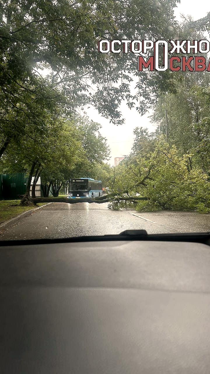 Падение деревьев в Донецке приводит к перекрытию движения
