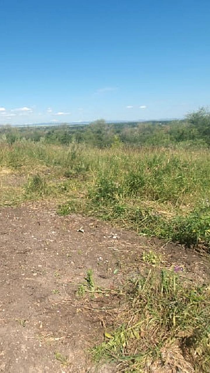 Суд обязал ликвидировать свалку опасных отходов в Омской области и успешно устранена свалка в Орловской области