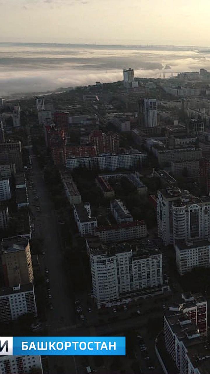 Прогнозы синоптиков: засушливый август ожидает Воронеж и Армению