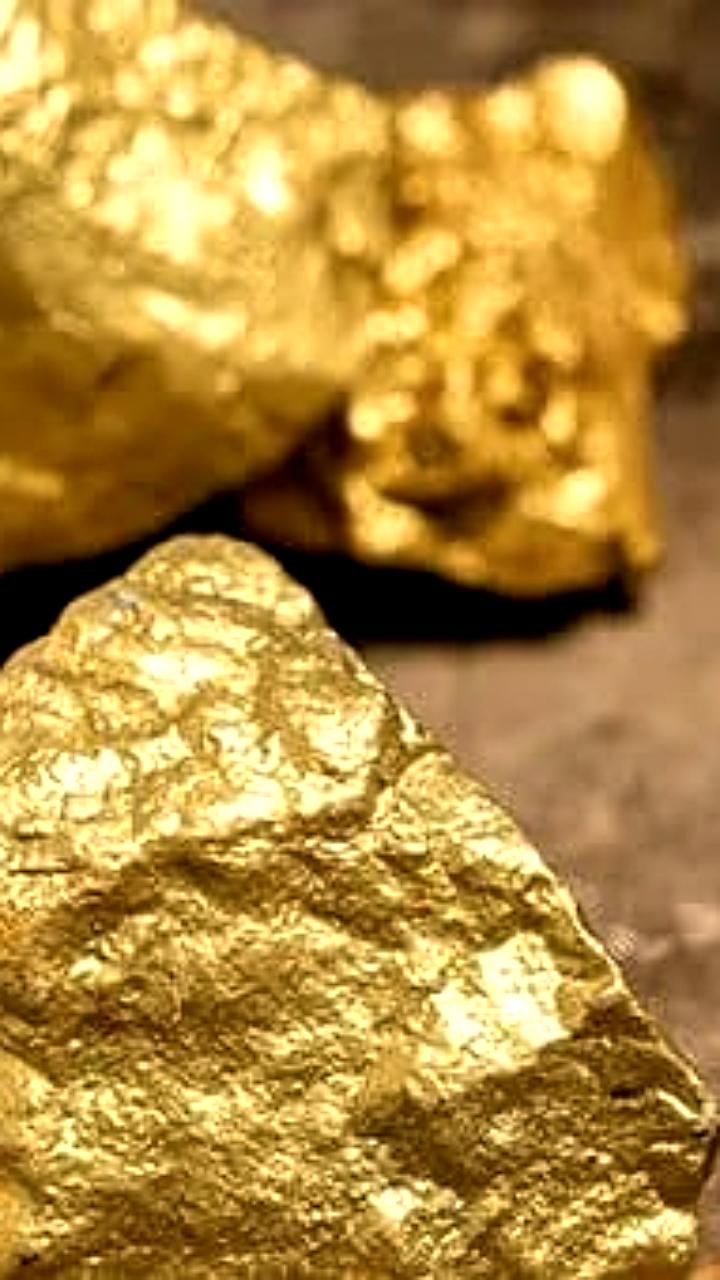 Золотовалютные резервы Беларуси достигли почти $12 млрд