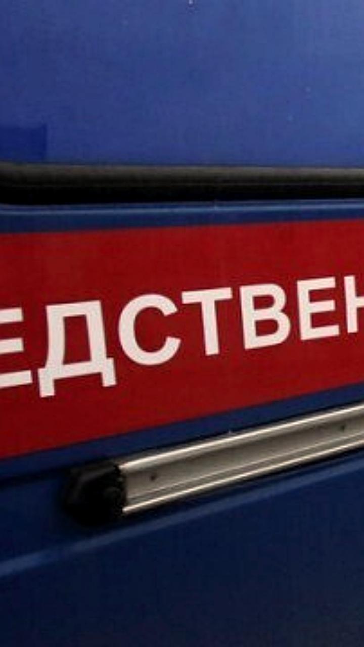 Депортация мигрантов и лишение гражданства после инцидента с девочкой в Калужской области