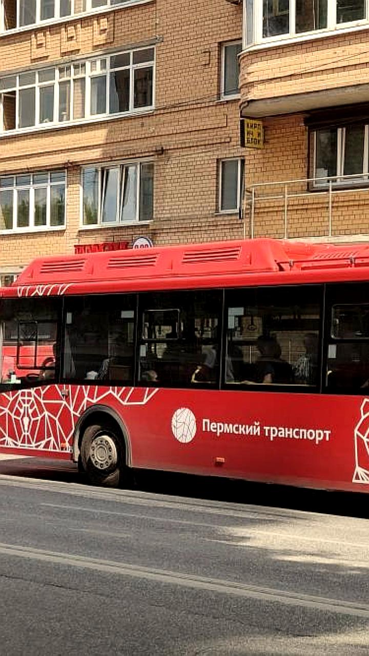 ПМЭФ-2026: даты форума и страна-гость Саудовская Аравия