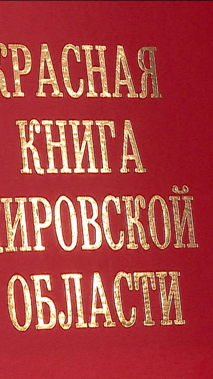 В Екатеринбурге представлен арт-поезд метро с дизайном от Самоката и партнёров СберПрайм