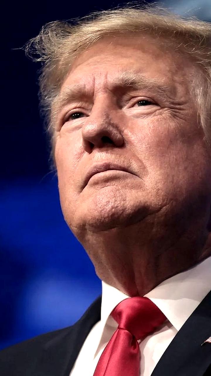 Трамп о встрече с Путиным и Зеленским: 'Необходимость в встрече отсутствует'