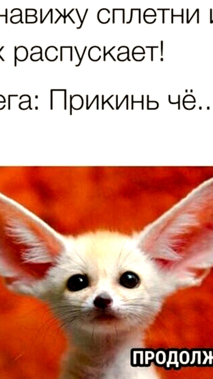 Сплетни способствуют улучшению психического здоровья, утверждают эксперты