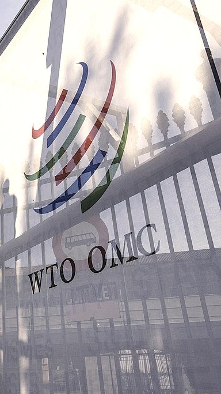 ВТО прогнозирует рост мирового товарооборота на 0,9% в 2025 году несмотря на повышение пошлин США