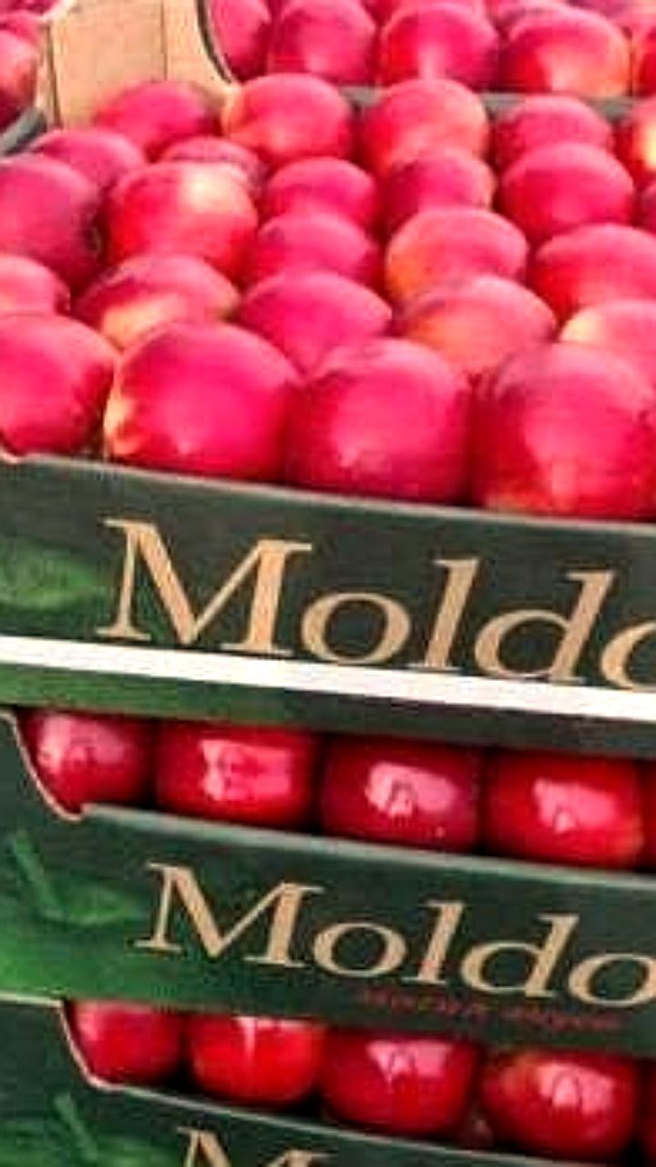Молдова снижает урожай яблок на 31,5% в 2025 году