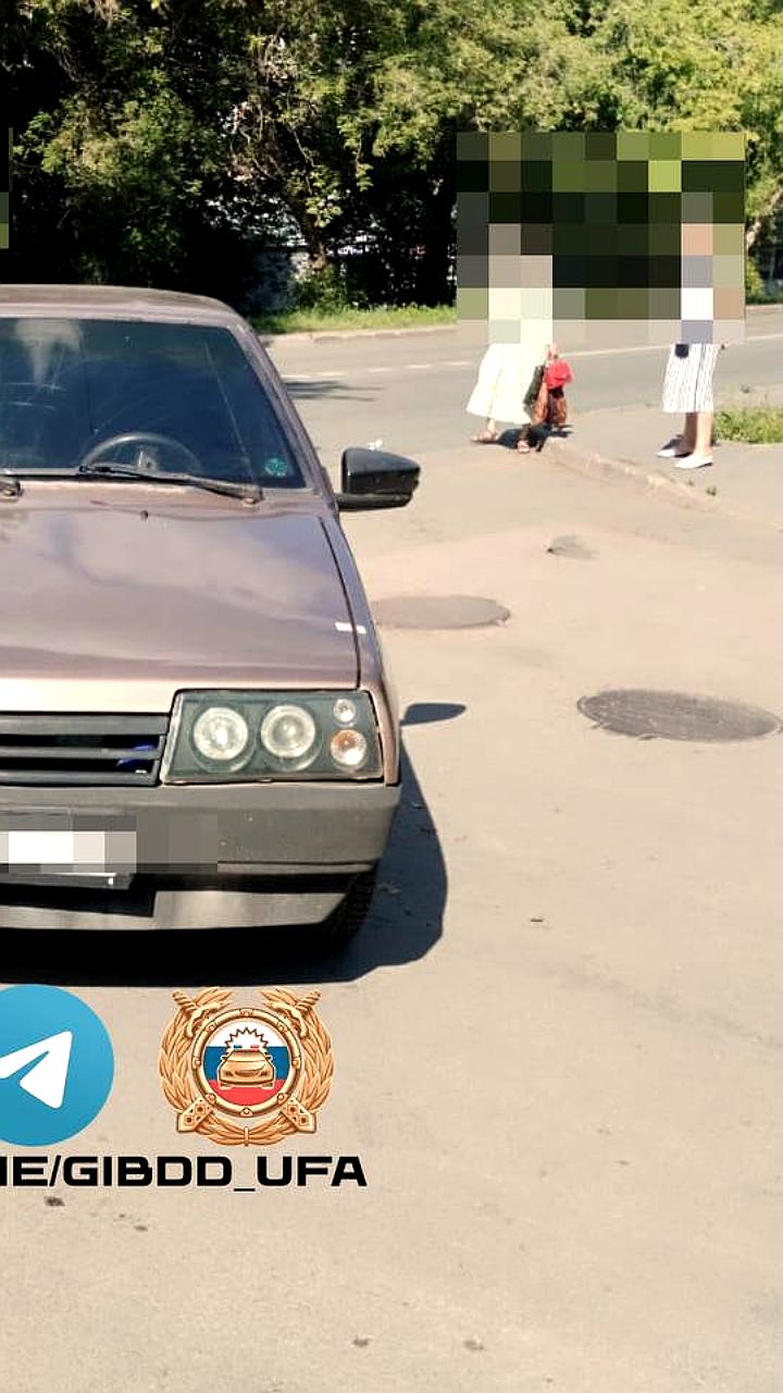 Поиск ответственных за отлов змеи в городе продолжается