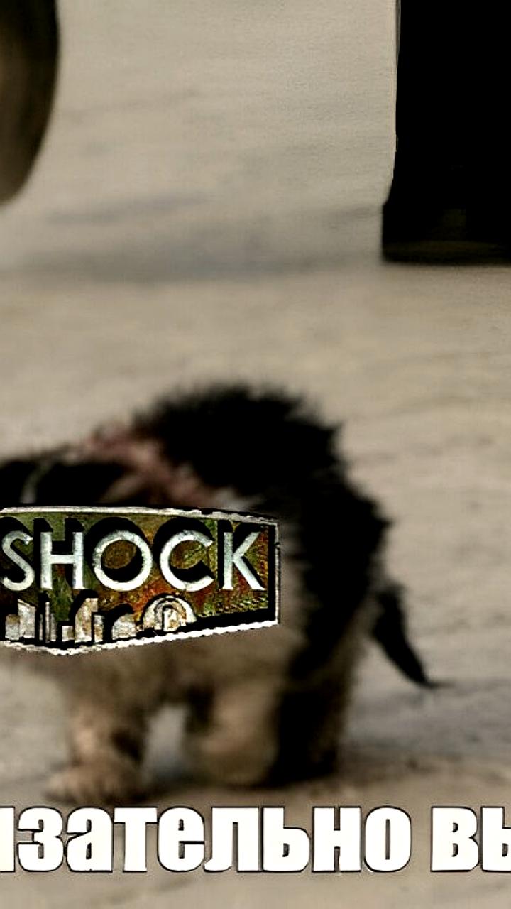 Take-Two подтверждает разработку BioShock 4 с переработкой сюжета