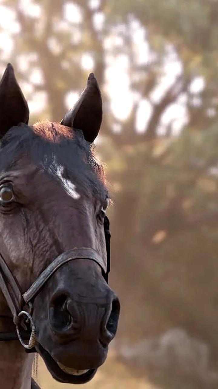 IGN представил топ-10 лучших видеоигр-приквелов, включая Red Dead Redemption 2 и Metal Gear Solid 3